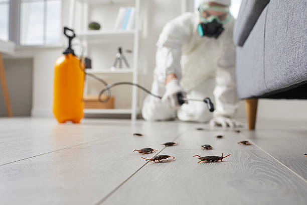 Post-Treatment Bed Bug Interceptor Monitoring in Lake Morton-Berrydale
