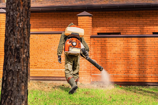 Bed Bug Clearance Verification and Documentation in Lake Morton-Berrydale
